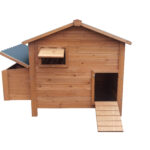 image (6)