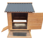 image (6)