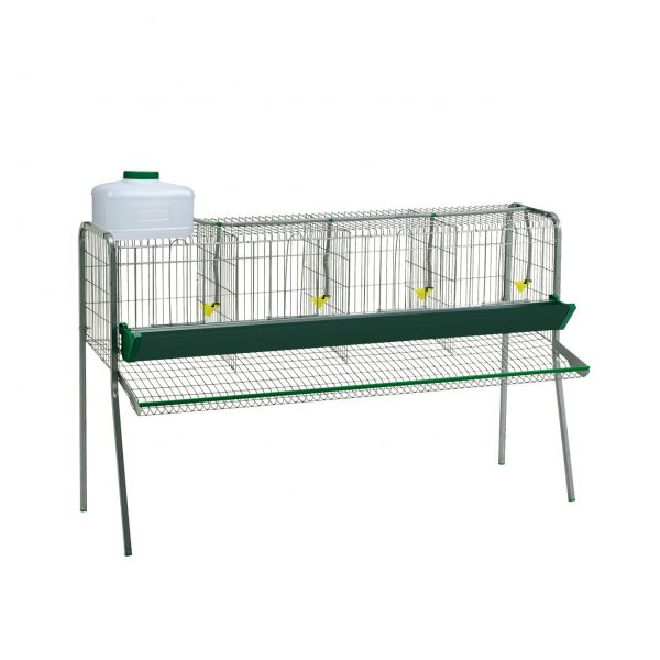 Batería gallinas 4 departamentos