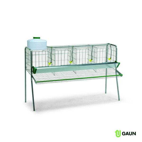 Battery laying hens 4 compartments