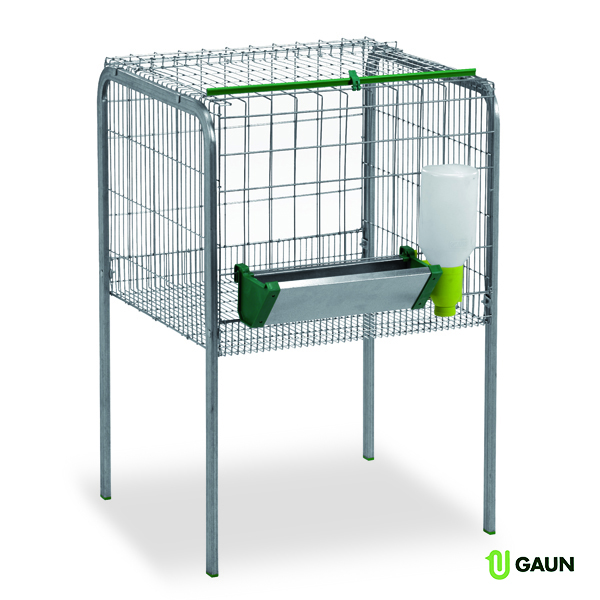 Cage fattening chickens 1 compartment