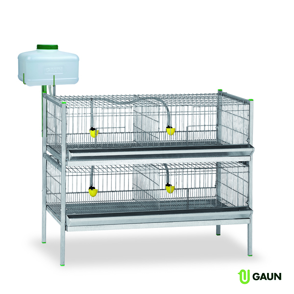 Show cage 2 floors main cage