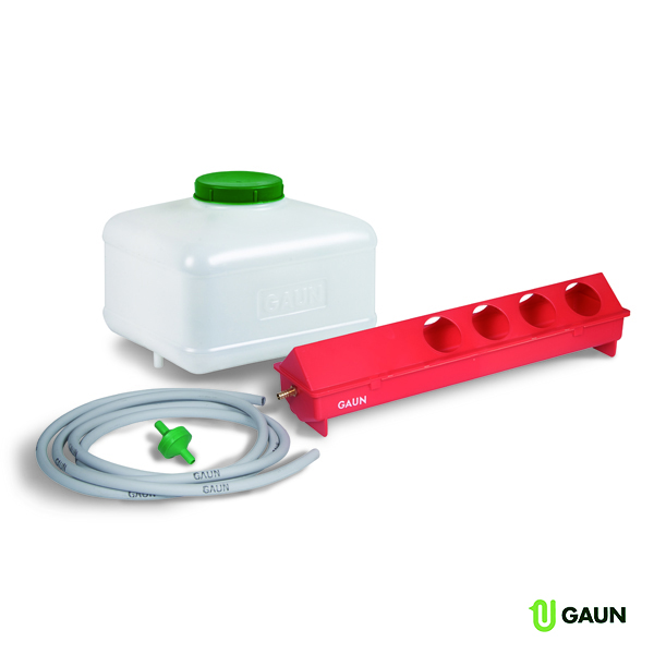 Automatic kit for chickens