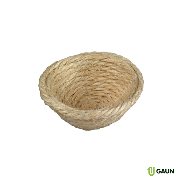 Pita bird nest