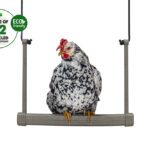19140 – CHICKEN SWING