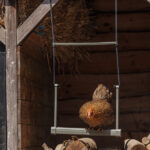 19140 – CHICKEN SWING