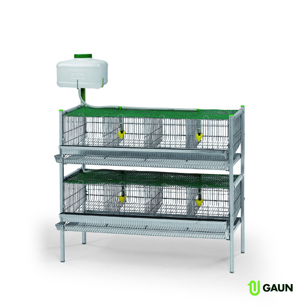 Quail cage 2 floors main cage