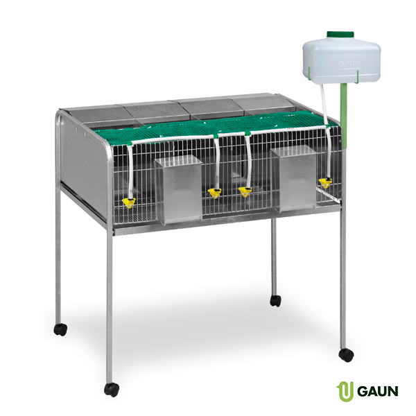 Cage for males with wheels