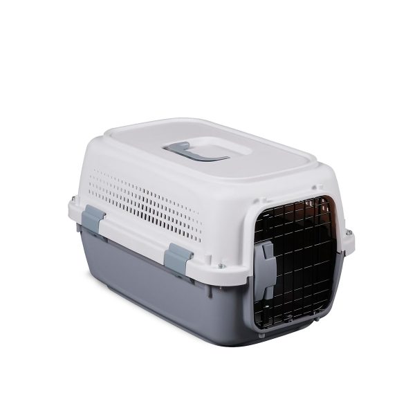 Pet Explorer 2
