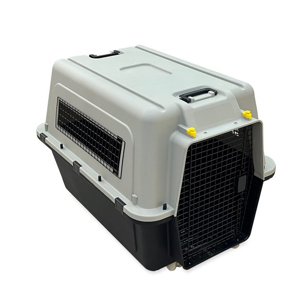 Pet Explorer 5