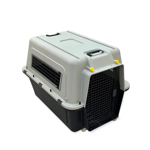 Pet Explorer 4