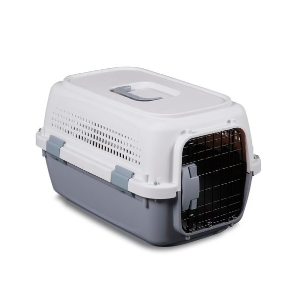 Pet Explorer 3