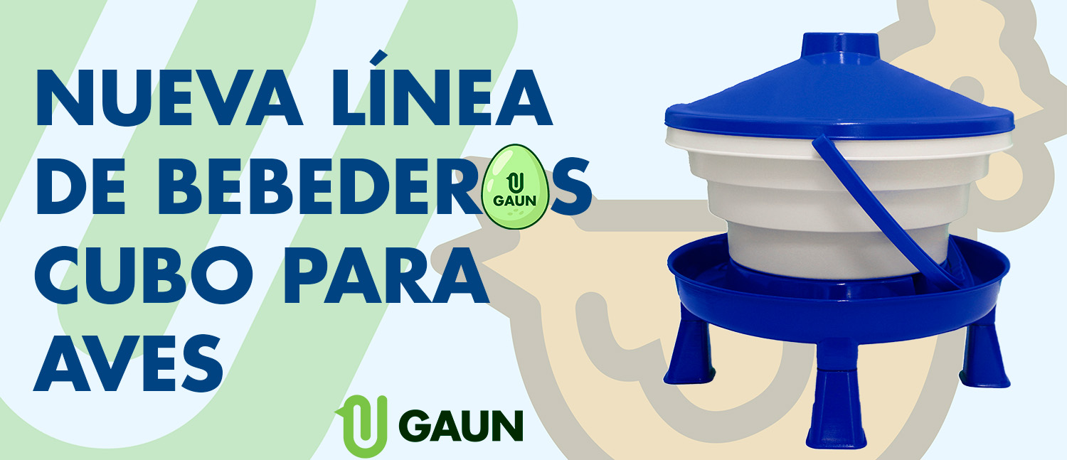Guía para el Cuidado de tus Gallinas en Invierno
