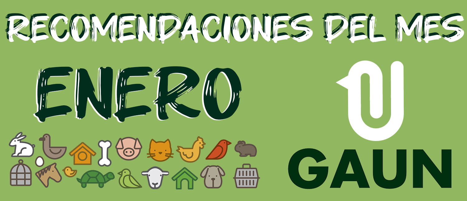 Recomendaciones del mes de enero – accesorio para animales GAUN