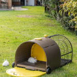 The Bunny Villa – 11