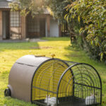 The Bunny Villa – 11