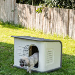 The Dog Hut – 3