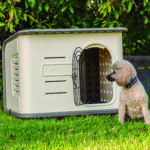 The Dog Hut – 3