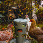 COMEDERO TORRE GALLINAS – FEED TOWER FOR CHICKENS