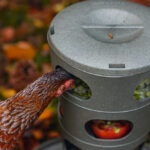 COMEDERO TORRE GALLINAS – FEED TOWER FOR CHICKENS