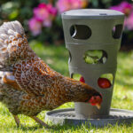 COMEDERO TORRE GALLINAS – FEED TOWER FOR CHICKENS