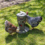 COMEDERO TORRE GALLINAS – FEED TOWER FOR CHICKENS
