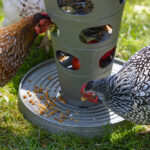 COMEDERO TORRE GALLINAS – FEED TOWER FOR CHICKENS