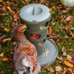 COMEDERO TORRE GALLINAS – FEED TOWER FOR CHICKENS