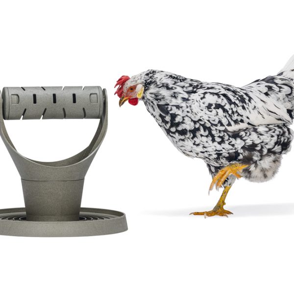 Comedero distribuidor snacks para gallinas 100 reciclado – comedero para animales GAUN