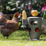 TORRE SNACKS / COMIDA PARA GALLINAS