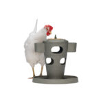 TORRE SNACKS / COMIDA PARA GALLINAS