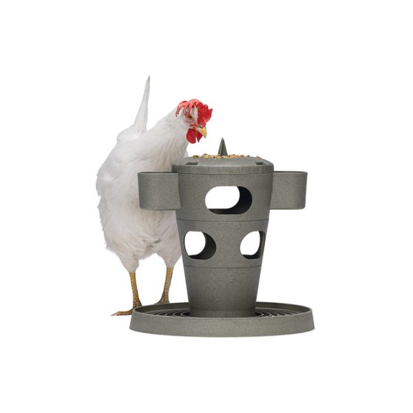 Torre snacks comida gallinas 100 reciclado – comedero para animales GAUN