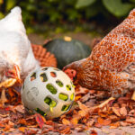PELOTA SNACKS GALLINAS