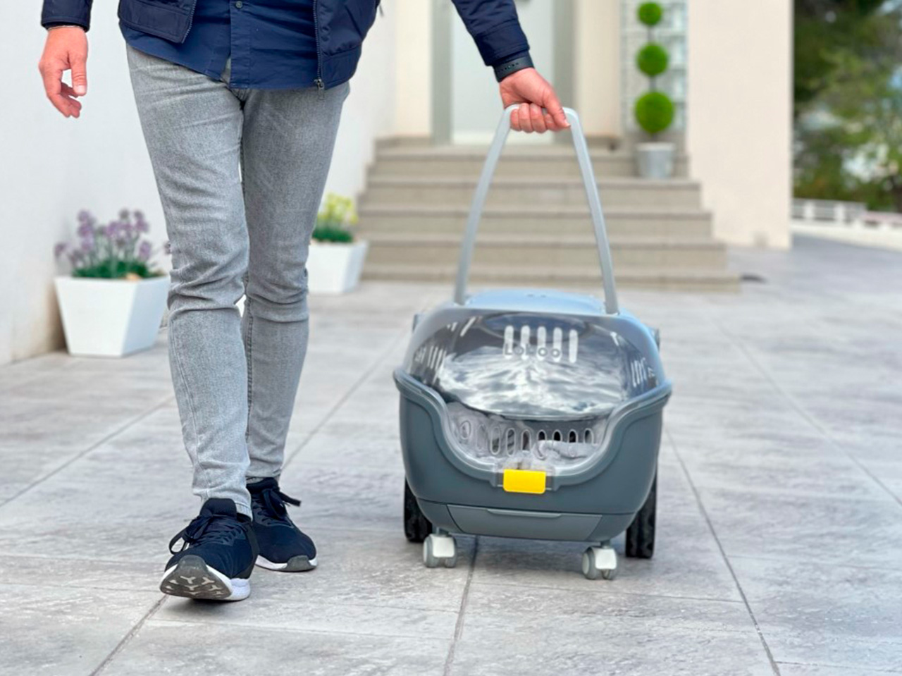 Transportines para perros bubble sand y bubble urban comodidad seguridad y estilo para tu mascota – accesorio para animales GAUN
