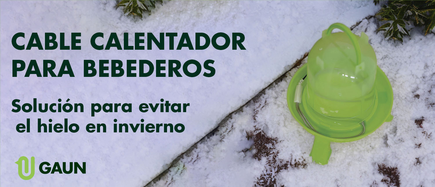 Guía para el Cuidado de tus Gallinas en Invierno