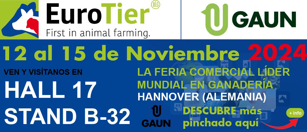 Guía para el Cuidado de tus Gallinas en Invierno