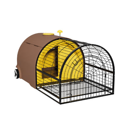 The egg collection –  GAUN