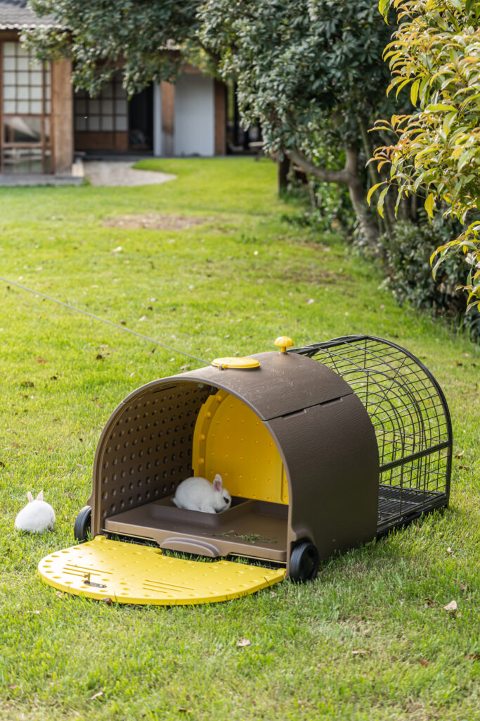 The egg collection –  GAUN