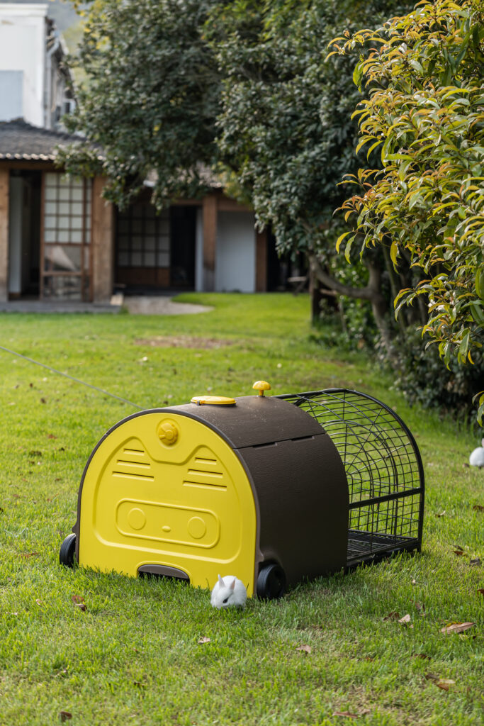 The egg collection –  GAUN