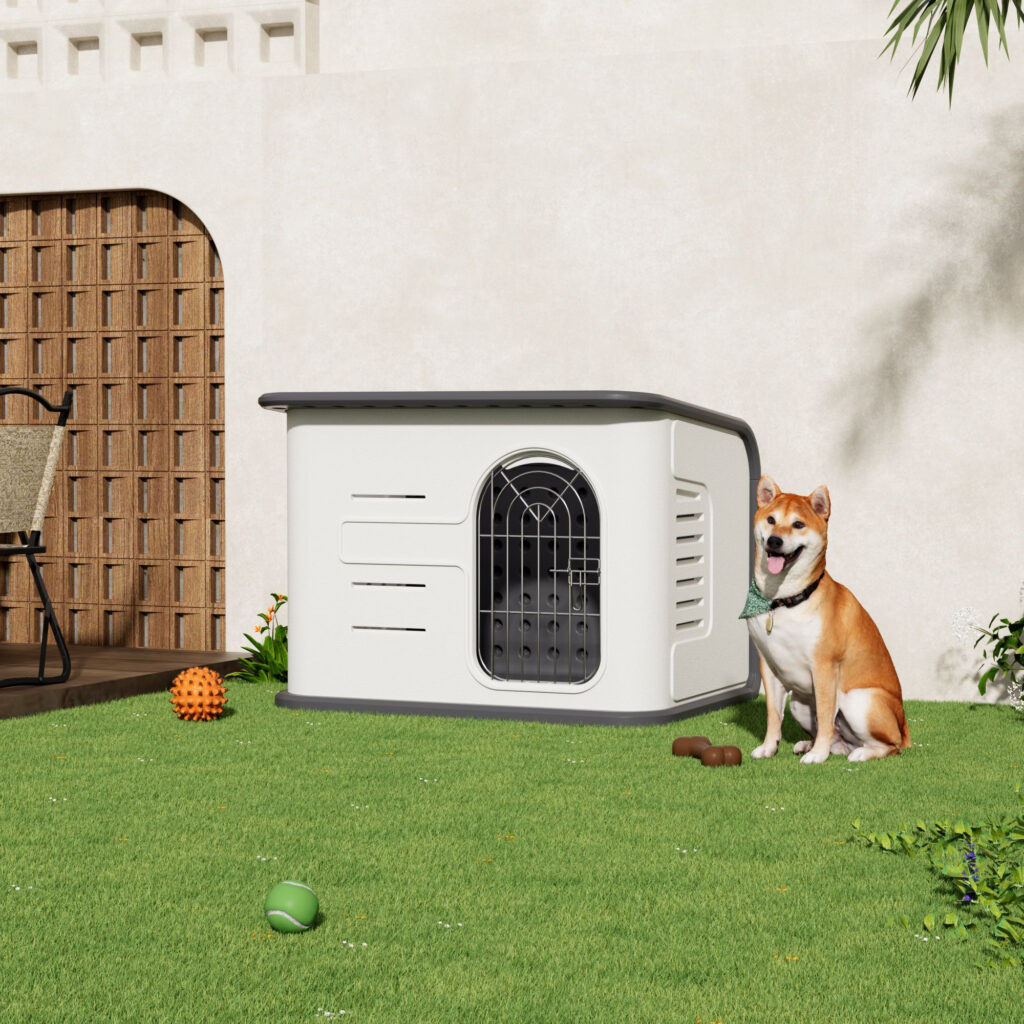 The egg collection –  GAUN