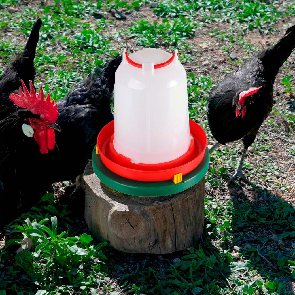 Guia para el cuidado de tus gallinas en invierno – accesorio para animales GAUN